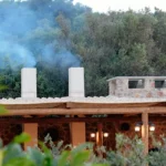 Cretan Farm Trees Olive oil festival experience in Creete