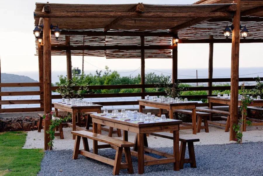 Cretan Farm View Olive oil festival experience in Creete