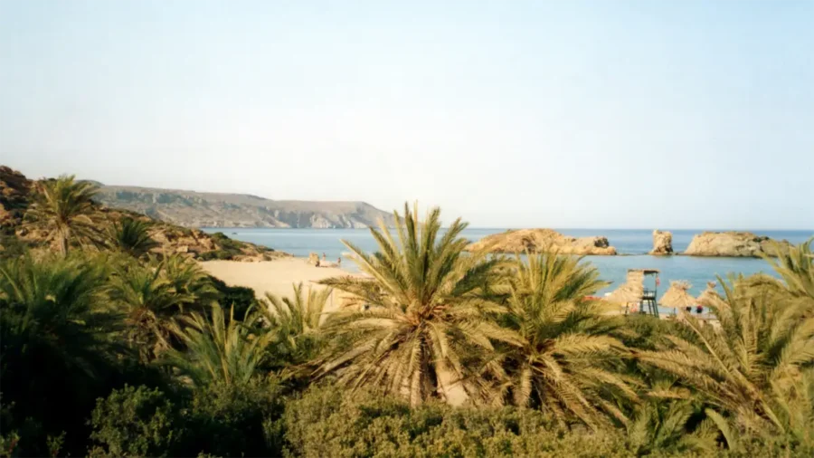 Vai beach and palm East Crete tour Toplou Vai Sitia
