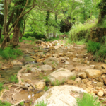 Moundros Gorge in Crete Safari2