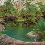 Preveli Palm Beach Forest Safari2