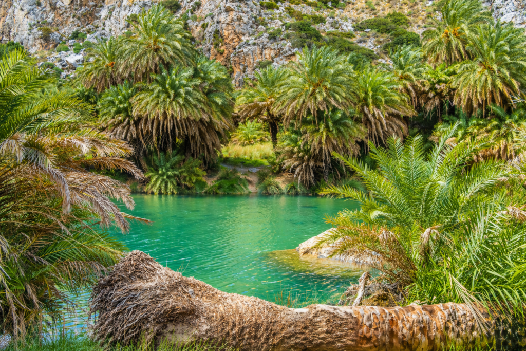 Preveli Palm Forest colours