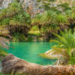 Preveli Palm Forest colours